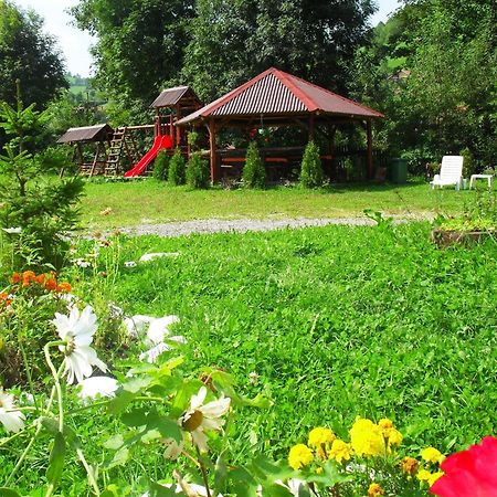 Vila Doina Branului ブラン エクステリア 写真