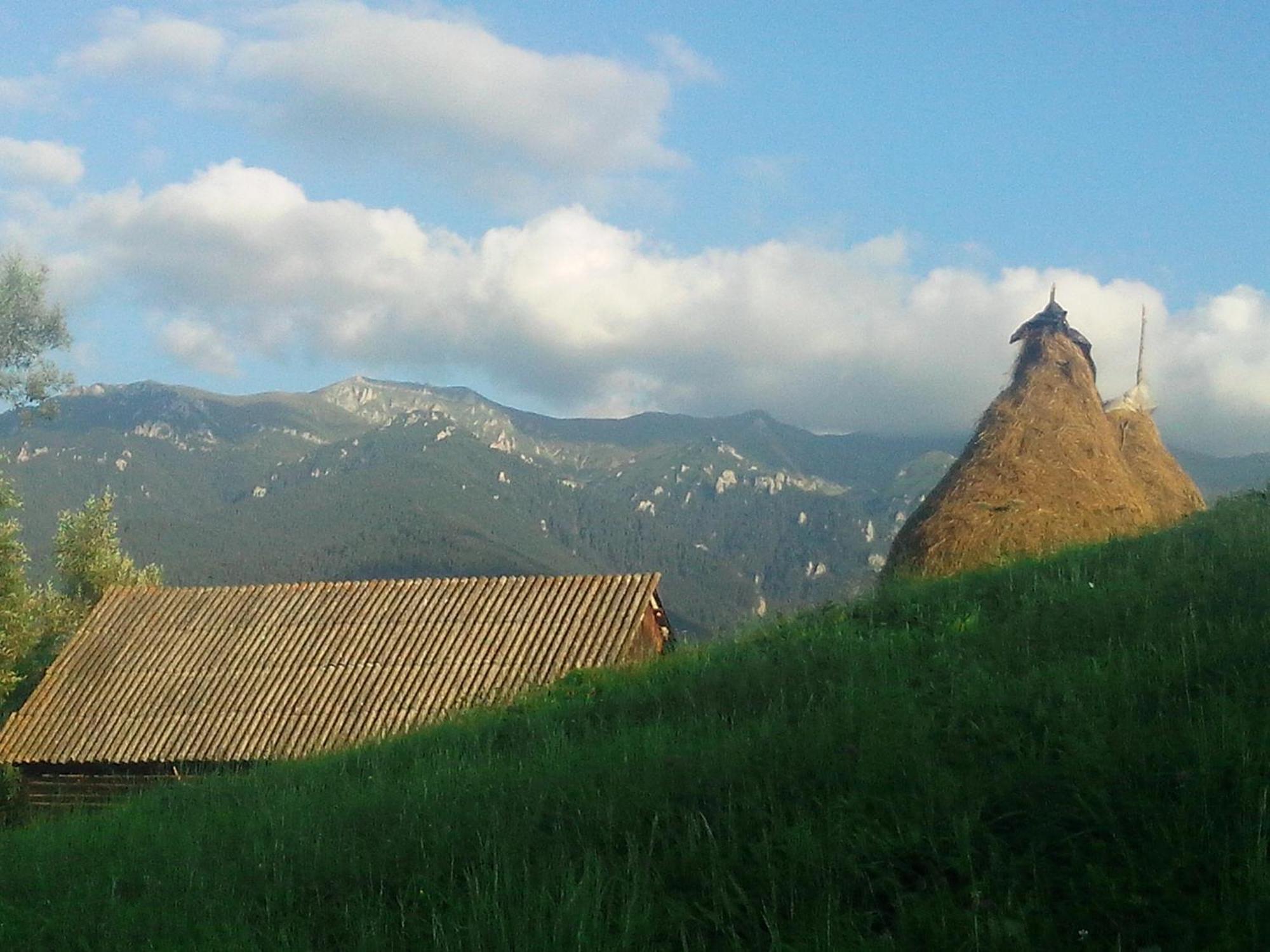 Vila Doina Branului ブラン エクステリア 写真